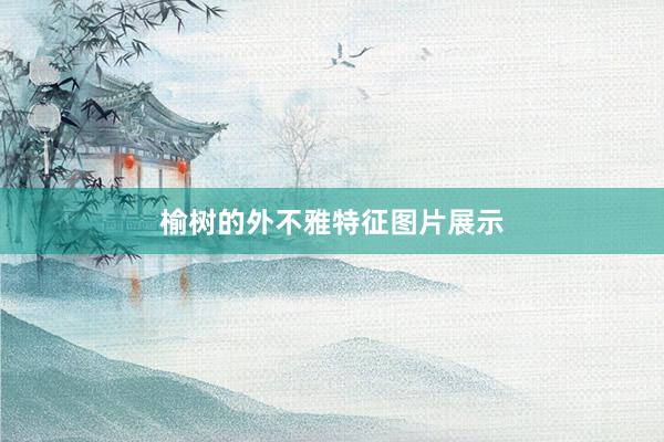 榆树的外不雅特征图片展示